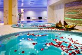 SPA-  
